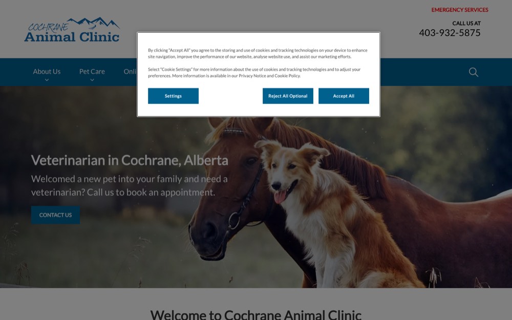 Big Hill Veterinary Service, veterinarians in Cochrane