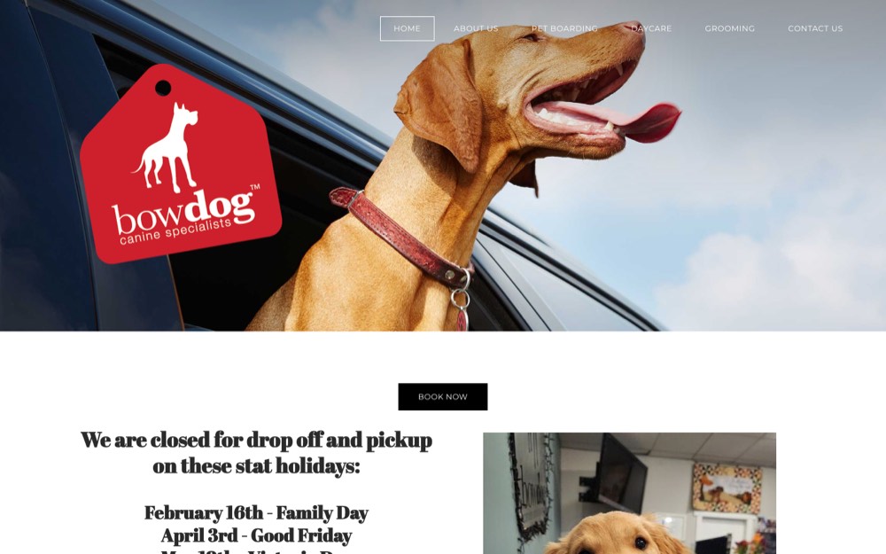 BowDog Canine Specialists, dog daycare & boarding in Calgary & Airdrie