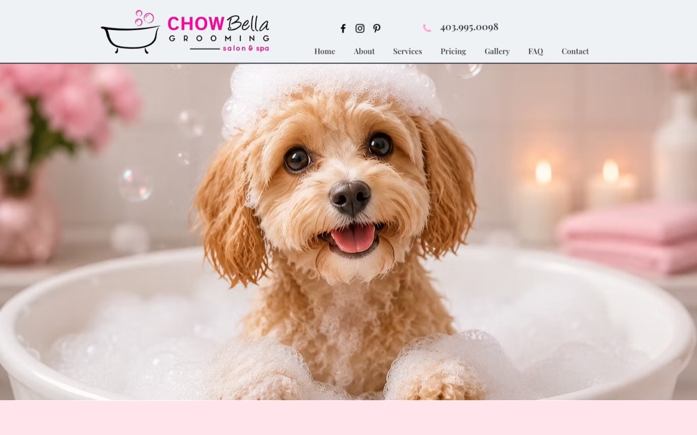 CHOW Bella Grooming Salon & Spa, pet grooming in Okotoks