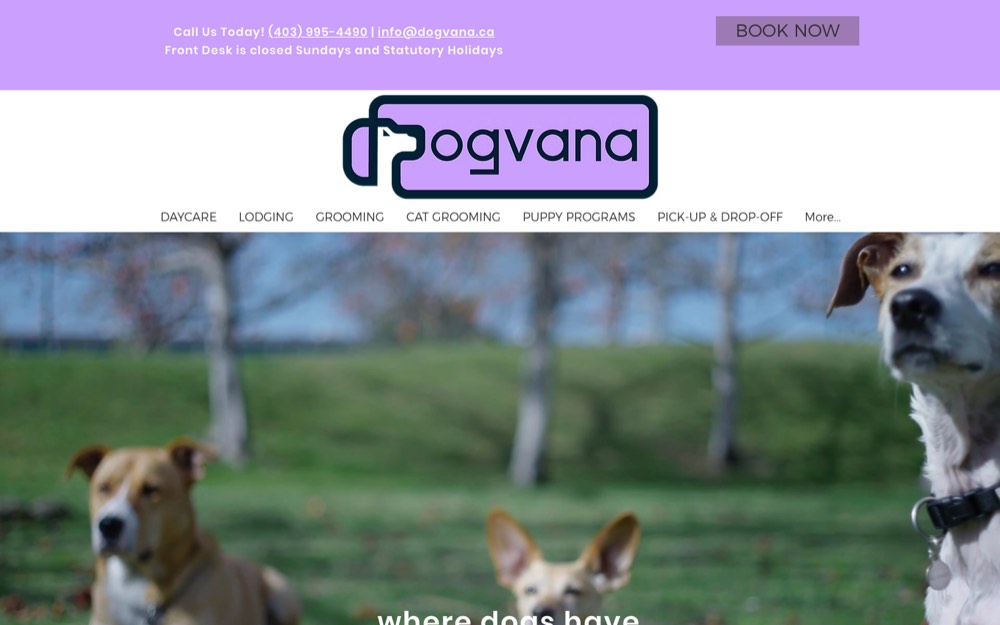 Dogvana, pet grooming in Okotoks