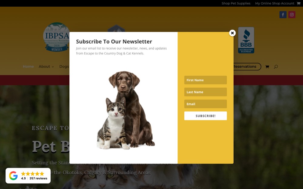 Escape to the Country Pet Retreat, dog daycare & boarding in Calgary & Okotoks
