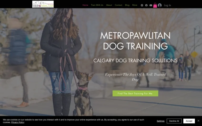 Metropawlitan Dog Training Inc., dog trainers in Calgary