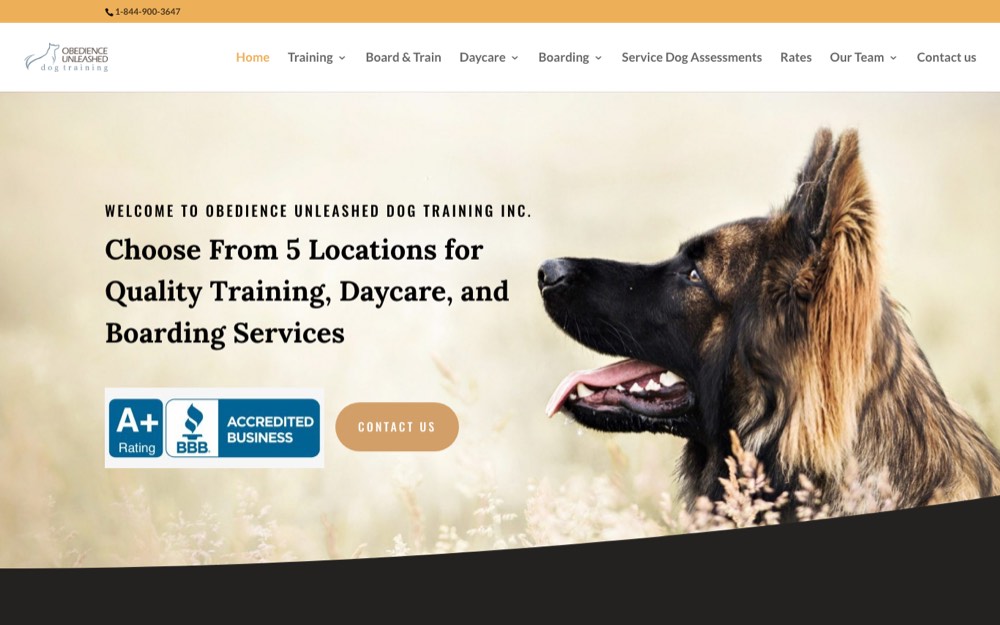 Obedience Unleashed Dog Training, dog daycare & boarding in Cochrane