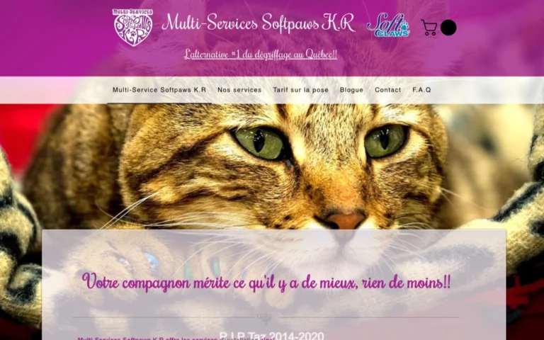Softpaws KR, pet stores in Calgary