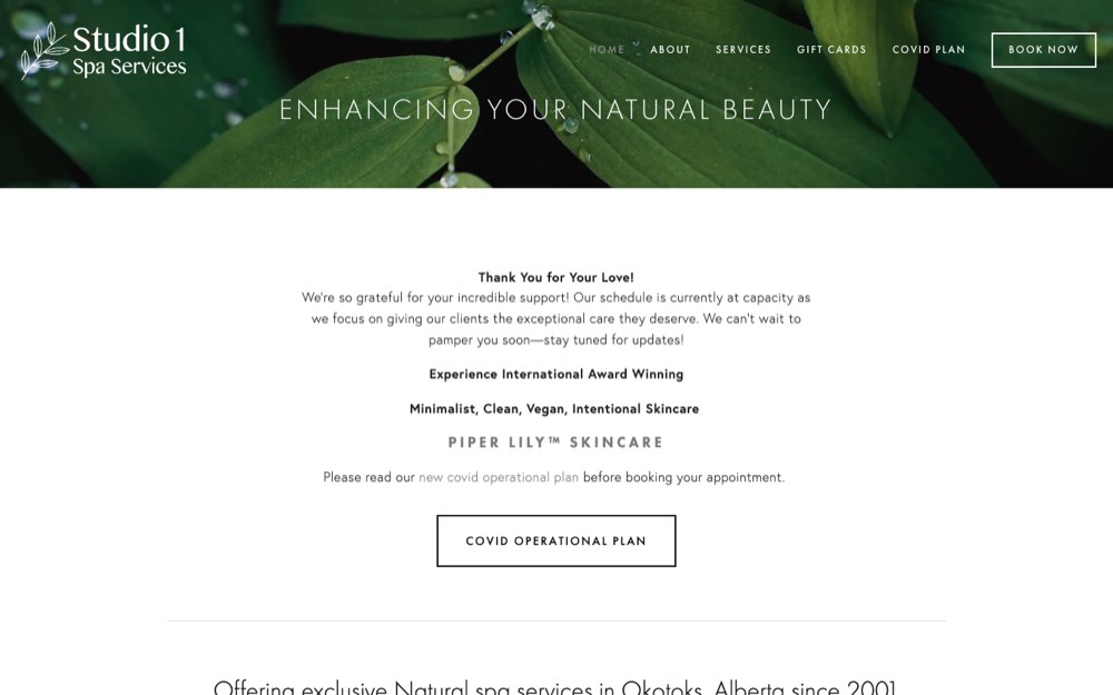 Studio 1 Spa Services, spas in Okotoks