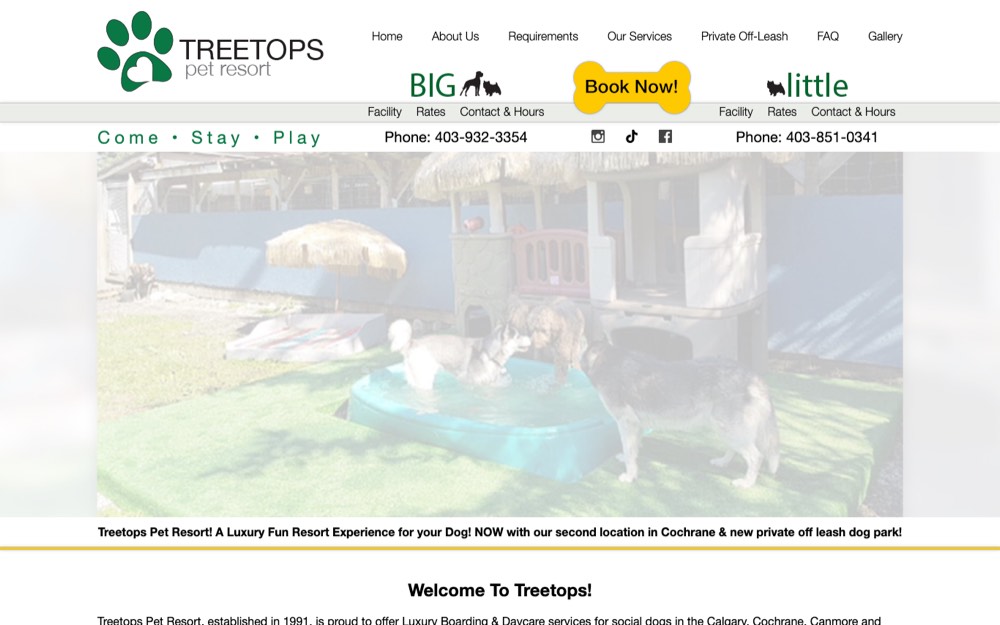 Treetops Pet Resort, dog daycare & boarding in Calgary & Cochrane
